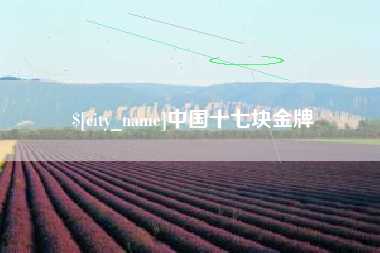 来宾中国十七块金牌