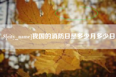 来宾我国的消防日是多少月多少日