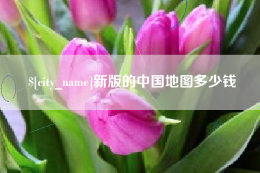 来宾新版的中国地图多少钱