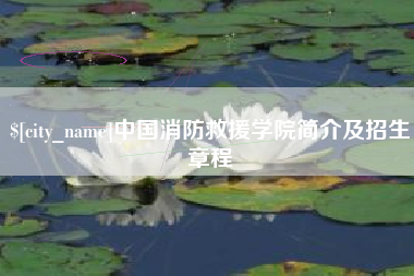 来宾中国消防救援学院简介及招生章程
