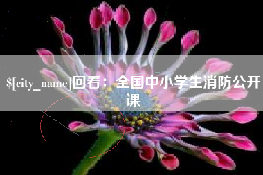 来宾回看：全国中小学生消防公开课