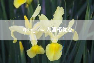 来宾九宫格优点