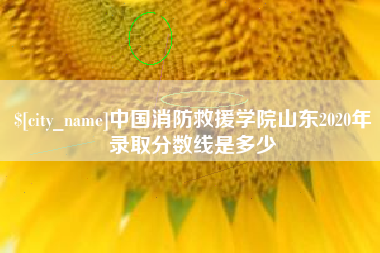来宾中国消防救援学院山东2020年录取分数线是多少