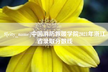 来宾中国消防救援学院2021年浙江省录取分数线