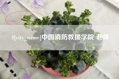 来宾中国消防救援学院 老师