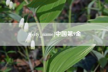 来宾中国第9金