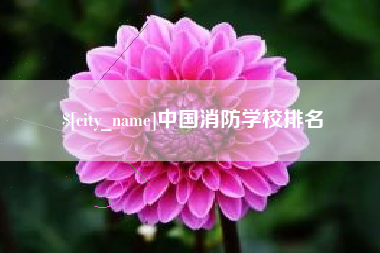 来宾中国消防学校排名