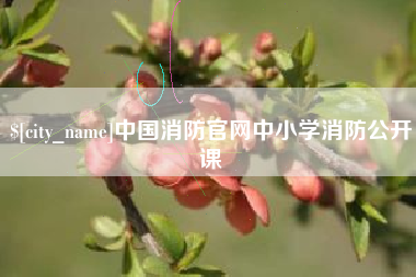 来宾中国消防官网中小学消防公开课