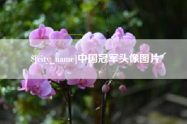 来宾中国冠军头像图片