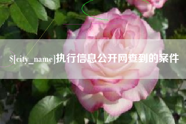 来宾执行信息公开网查到的案件