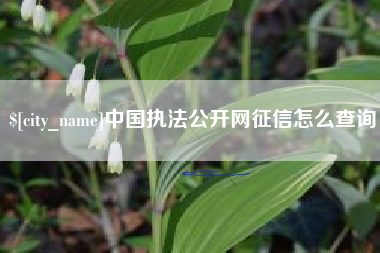来宾中国执法公开网征信怎么查询