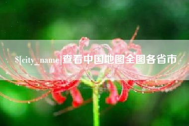 来宾查看中国地图全图各省市