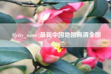 来宾最新中国地图高清全图