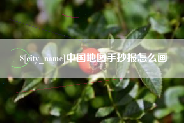 来宾中国地图手抄报怎么画