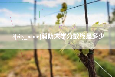 来宾消防大学分数线是多少