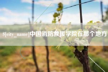 来宾中国消防救援学院在那个地方