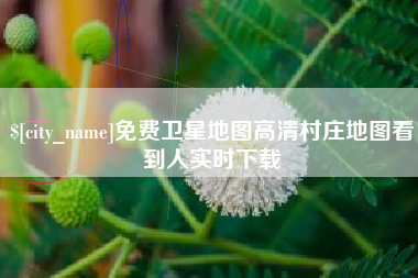 来宾免费卫星地图高清村庄地图看到人实时下载
