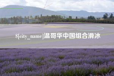 来宾温哥华中国组合滑冰