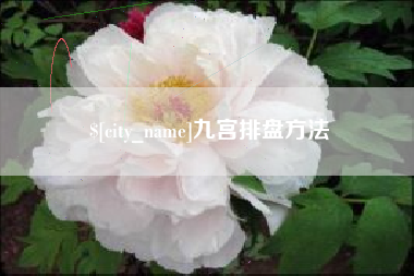 来宾九宫排盘方法