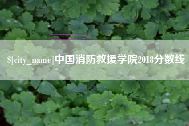 来宾中国消防救援学院2018分数线