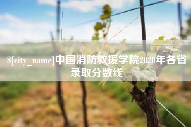 来宾中国消防救援学院2020年各省录取分数线