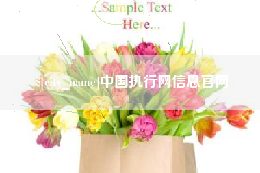 来宾中国执行网信息官网