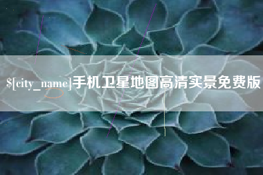 来宾手机卫星地图高清实景免费版