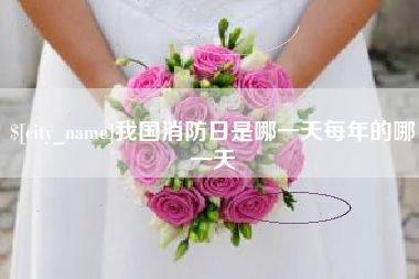 来宾我国消防日是哪一天每年的哪一天