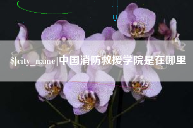 来宾中国消防救援学院是在哪里