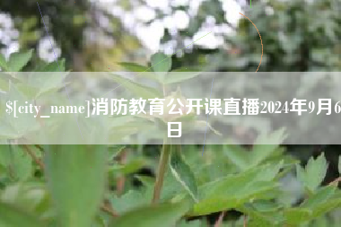 来宾消防教育公开课直播2024年9月6日