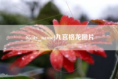 来宾九宫格龙图片