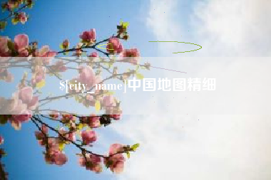 来宾中国地图精细