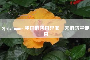 来宾我国消防日是哪一天消防宣传日