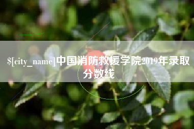 来宾中国消防救援学院2019年录取分数线
