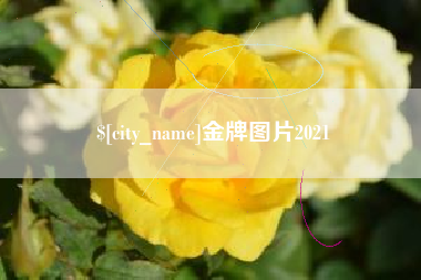 来宾金牌图片2021