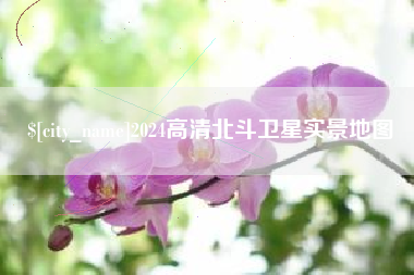 来宾2024高清北斗卫星实景地图