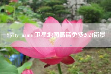 来宾卫星地图高清免费2024街景