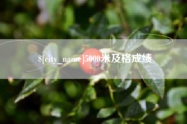 来宾5000米及格成绩