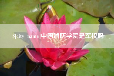 来宾中国消防学院是军校吗