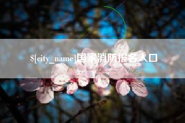 来宾国家消防报名入口