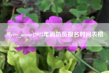 来宾2025年消防员报名时间表格