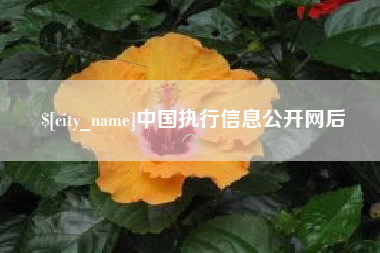 来宾中国执行信息公开网后