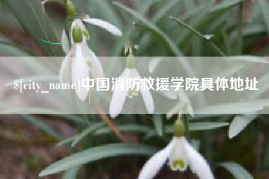 来宾中国消防救援学院具体地址