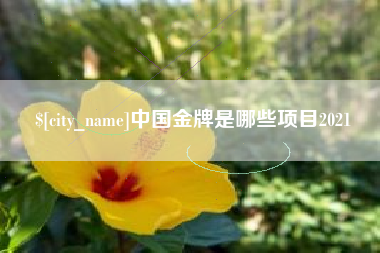 来宾中国金牌是哪些项目2021