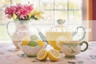 来宾中国消防救援学院分数2020