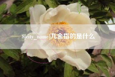 来宾九金指的是什么
