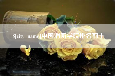 来宾中国消防学院排名前十