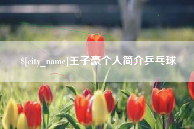 来宾王子豪个人简介乒乓球