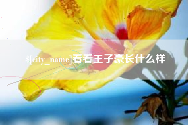 来宾看看王子豪长什么样