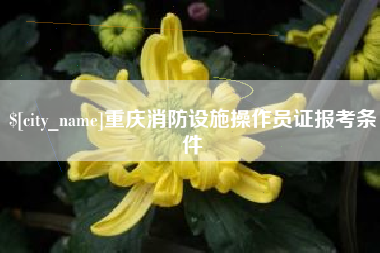 来宾重庆消防设施操作员证报考条件